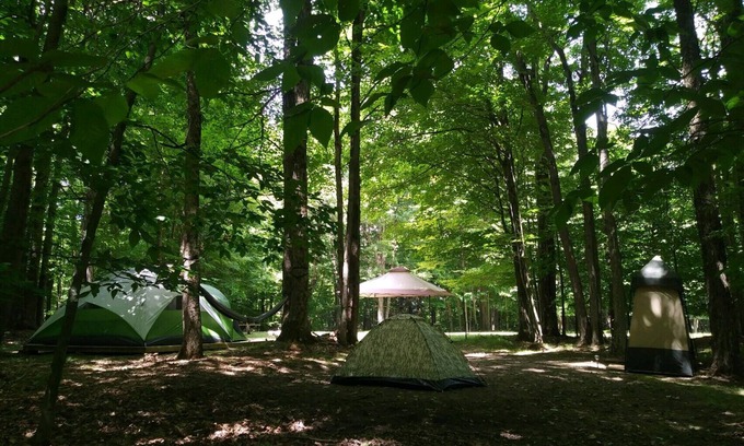 Wellsville RV Rental | BlueMoon - quiet, private, secluded