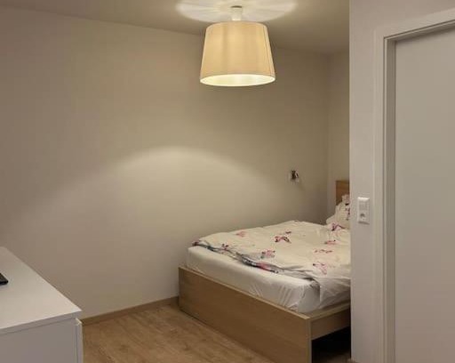 Rheinfelden Apartment | Boardinghouse Rheinfelden 1