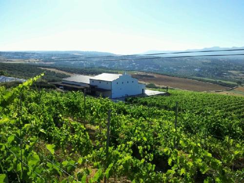 Ronda Apartment | Bodegas Morosanto