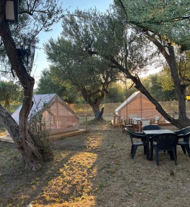Qeparo Other | Bonaparte camp