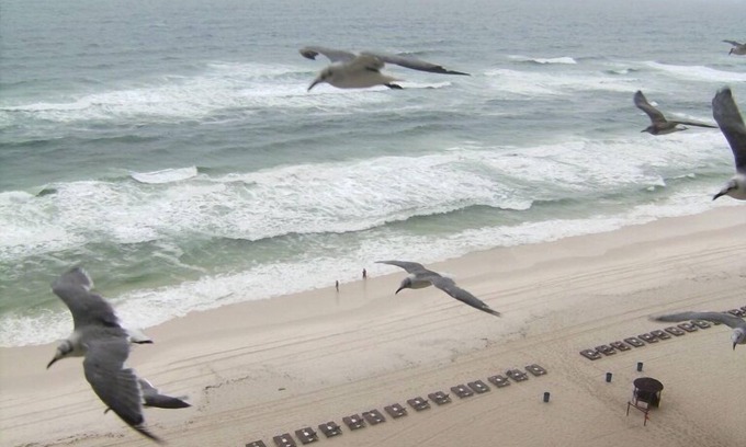 Panama City Beach Condo | Book Now! Balcony is right on the beachside. Great view of the Emerald Water!