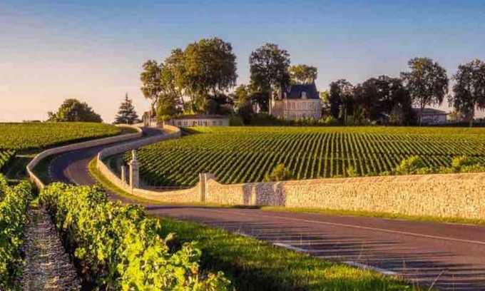 Margaux-Cantenac House | Bordeaux / Médoc - Route Des Châteaux