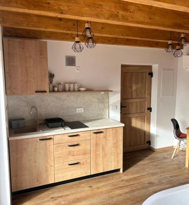 Gorisnica Cabin | Borl Apartment
