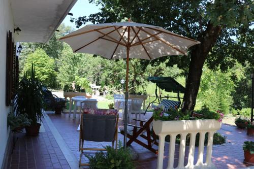 Rapolano Terme Bed & Breakfast | Boscodisotto