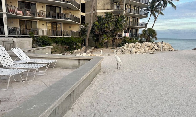 Key West Condo | Botanical Island Delight Key West fantastic discounts for Summer & Fall