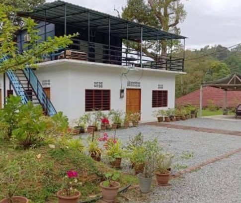 Janda Baik House | BougainHomestay Janda Baik