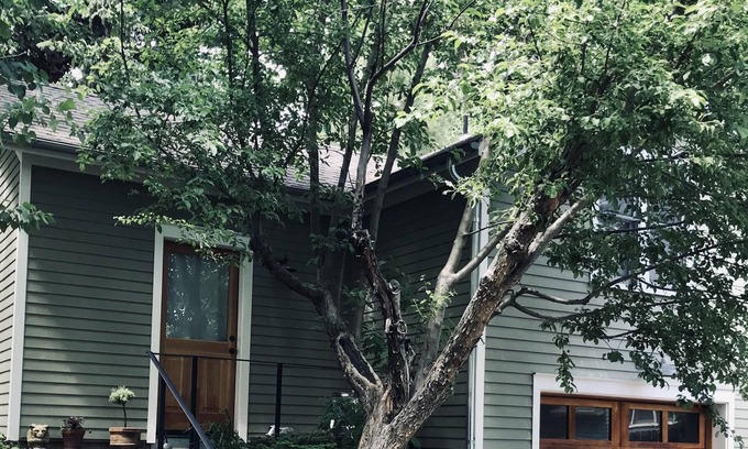 Mapleton Hill House | Boulder Oasis only steps from downtown Boulder