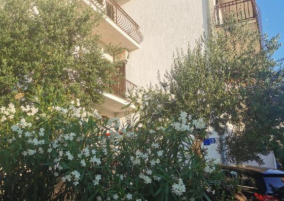 Baska Voda Apartment | Branko