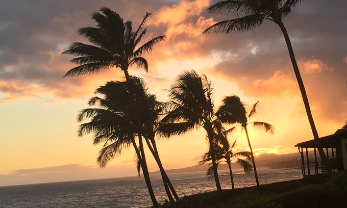 Poipu Condo | Breathtaking Oceanfront Condo, 20 Feet Ocean