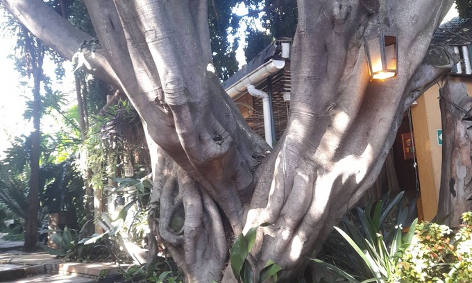 Edenvale House | Breena BnB Guest House