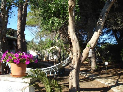 Melendugno Bed & Breakfast | Breezes B&B