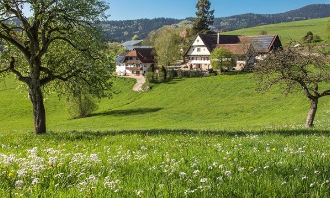 Oberharmersbach Apartment | Breigenhof - 5 vacation apartments - sunny location