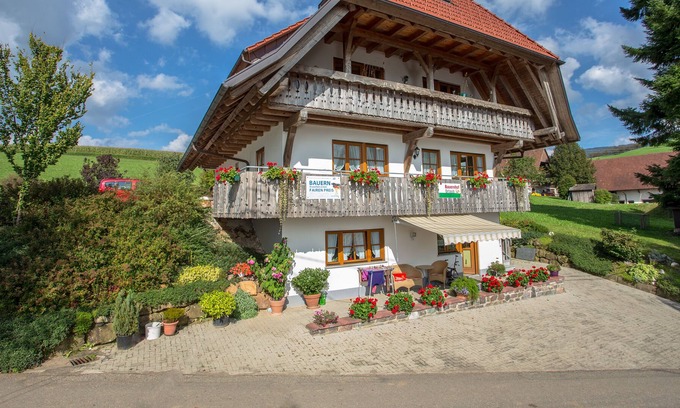 Oberharmersbach Apartment | Breigenhof - Apartment Leibgeding 100sqm - sunny location