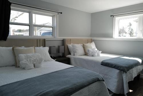 Stratford Bed & Breakfast | Bright 2-Room Guest Space in Stratford