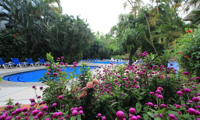 South Hotel Zone Apartment | Bright and Chic beautiful Condo close to everything