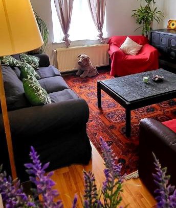 Helmet Apartment | Bright studio close to Zaventem airport