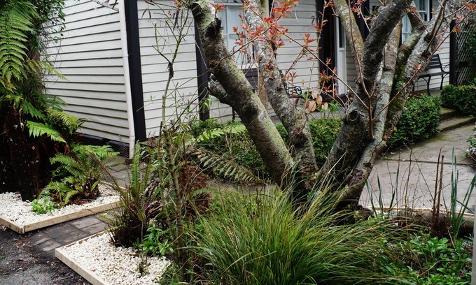 Riccarton Cottage | Brockworth Cottage -Charming Character with Modern Amenities