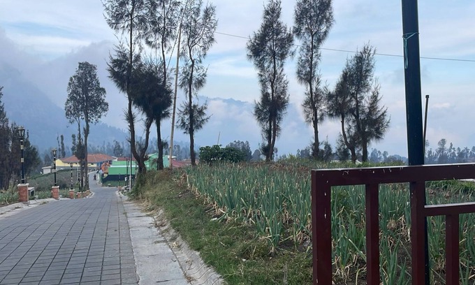 Tengger Caldera House | Bromo Semesta Guesthouse