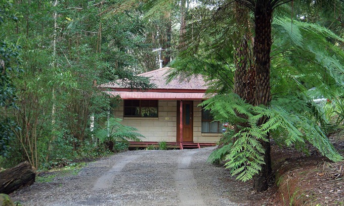 Mount Dandenong Cottage | Brook Cottage. 7 Acre Rain Forest Paradise