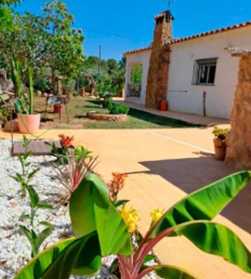 Marines House | Buganvilla
