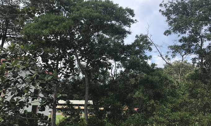 Bentong House | Bukit Bentong Homestay