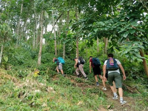 Bohorok House | Bukit Lawang Backpacker JungleTrekking Only Booking with us