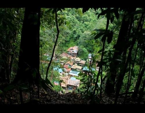 Bohorok Cabin | Bukit lawang free transpot free room