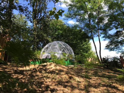 Saint Sever Other | Bulle en Nature Landaise