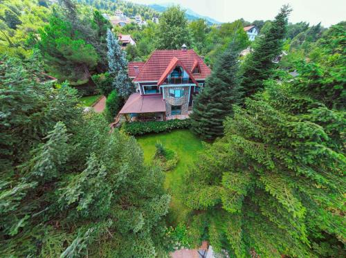 Masukiye Cabin | Bungalov Maşukiye Villa