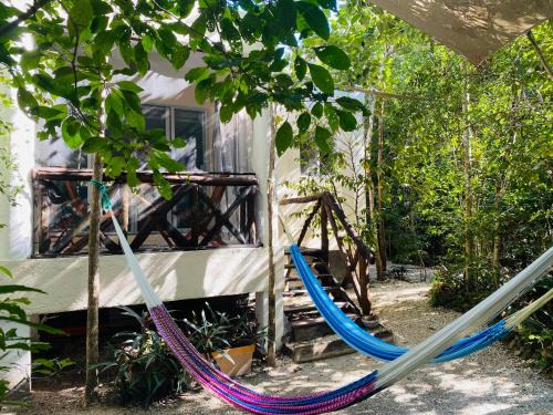 Cozumel Apartment | Bungalow Bé La Kin