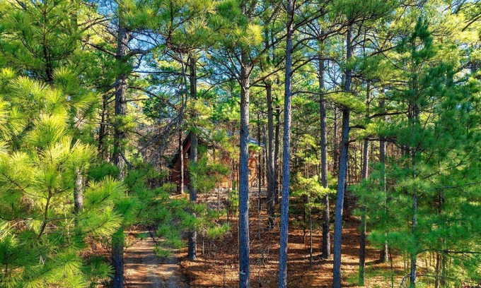 Broken Bow Cabin | Burnt Whiskey! Beautiful Rustic Couples Cabin.