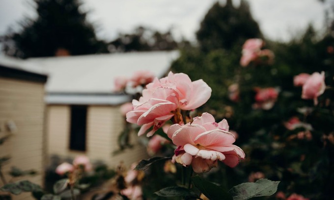 Apollo Bay House | Burrum River Retreat - Pet Friendly Accommodation at Apollo Bay