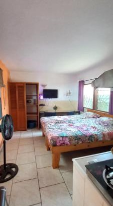 Kololi Apartment | Busy Bee Apartments