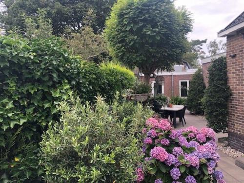Bergen Apartment | BY BABS guesthouse Bergen nh