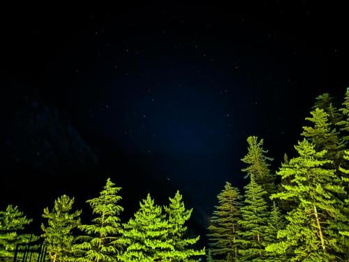 Mohal House | Byway, Kasol