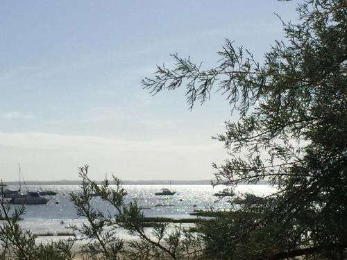 Biganos House | Côté bassin, maison 4 personnes