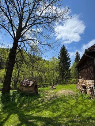 Risca House | Căsuța din Vale