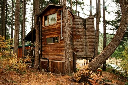 White Salmon House | Cabaña del árbol situado en el bosque del Monte Adams en Washington