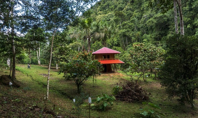 Pueblo Nuevo Cabin | Cabaña Familiar en el Bosque Amazónico. Ideal Para Desconectar de la Tecnología