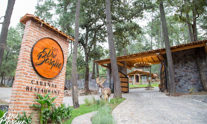 Tapalpa Cabin | Cabañas La Vid Del Bosque