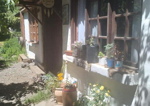 San Martin de los Andes House | Cabañita SMA