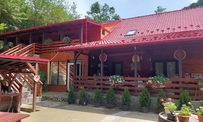 Baia Mare Cabin | Cabana Alpha