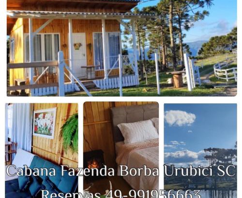 Urubici Ski Chalet | Cabana Fazenda Borba