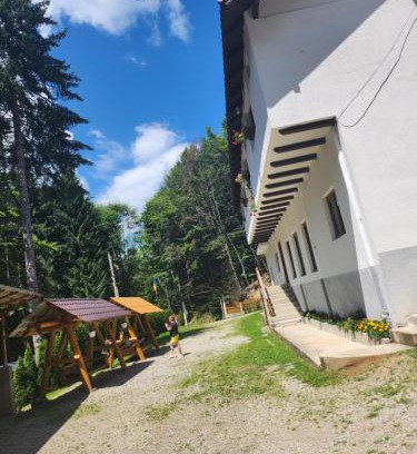 Oestii Paminteni Other | Cabana Valea Bradului