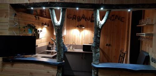 Annonay Apartment | CABANE à DRINE