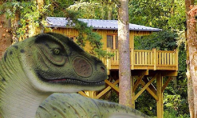 Lavaurette Cabin | Cabane Perchée Jurassic, Unique en France, Atypique, Insolite!