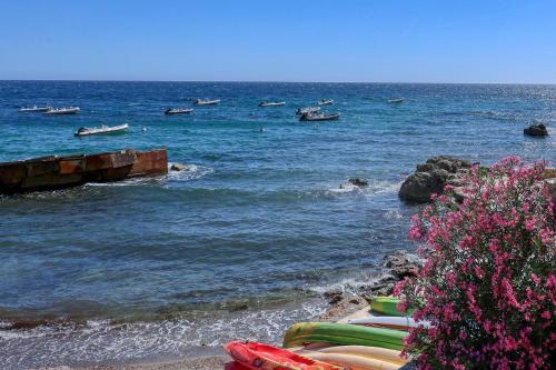 Le Pradet House | Cabanon du Pin de Galle avec plage à 30m et vue mer