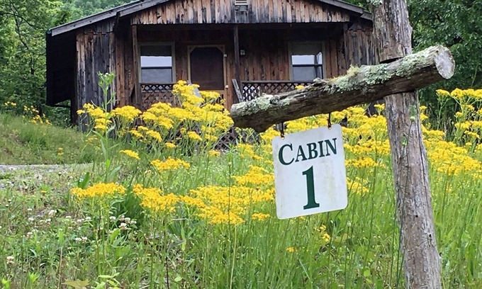 Lynn Garden Cabin | Cabin 1, Cozy Cottage with WiFi, Fireplace and Whirlpool Tub in Duffield, VA
