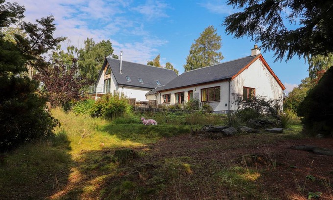 Newtonmore Cottage | Cabin ∙ 2 bedrooms ∙ 4 guests