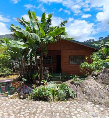 Orosi Apartment | Cabin in Orosi